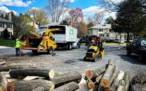 Best Tree Preservation Services  in Cherry Hill Mall, NJ